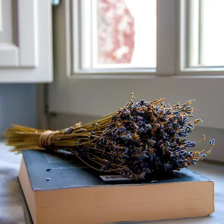 Villa Sv Mansion Ía