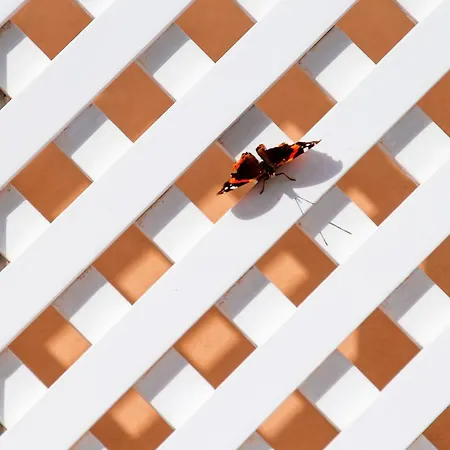 Villa Sv Mansion