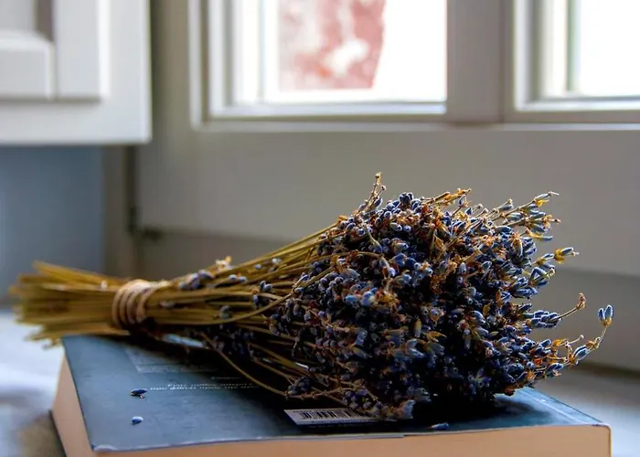 Villa Sv Mansion Oia